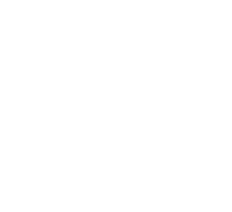 Logo-Ros-Torve
